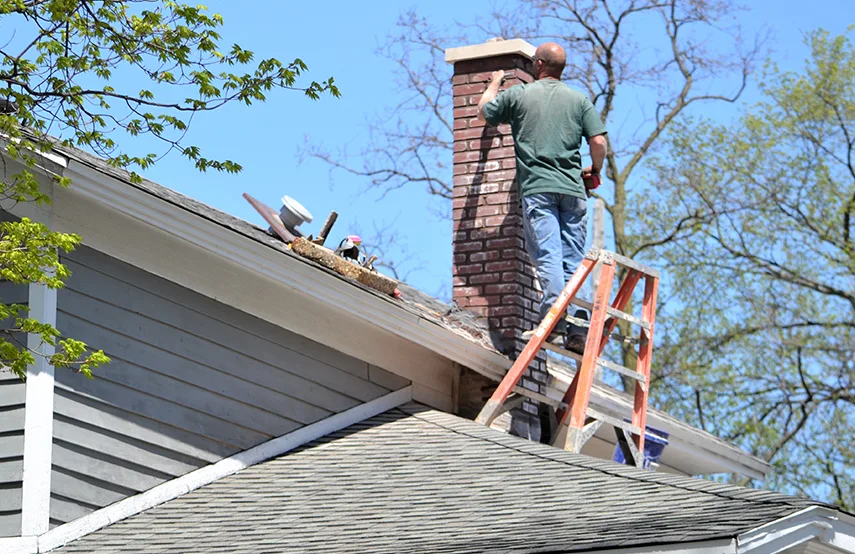 Chimney & Fireplace Inspections Services in Waterloo, IA